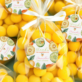 Etiquetas Para Lembrancinhas Citrus ficou com Chá de fraldas de Fruta de Aquare