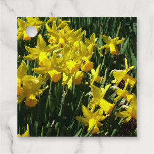 Etiquetas Para Lembrancinhas Daffodils Amarelos I Flores De Mola Cheery