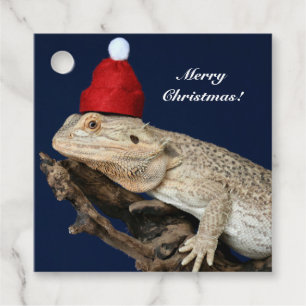 Etiquetas Para Lembrancinhas Dragão Carborado Personalizado Lizard - Santa Chap