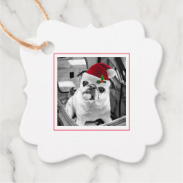 Etiquetas Para Lembrancinhas Família Pet Photo Santa Hat Feliz Natal