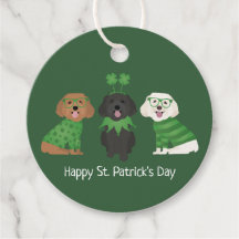 Feliz Dia de São Patrício Maltipoo Dogs