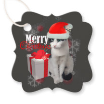 Feliz Natal Gato e Pacote