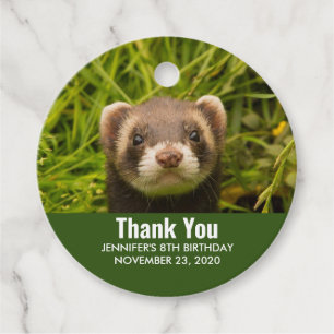 Etiquetas Para Lembrancinhas Ferret castanho bonito na grama Obrigado