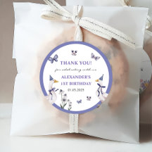 Festa de aniversário do ganso do bobo