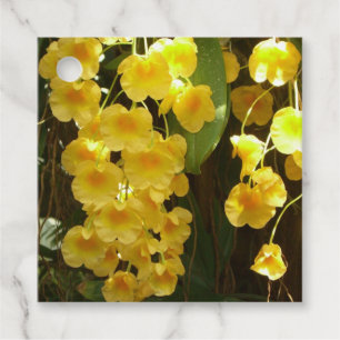 Etiquetas Para Lembrancinhas Flores Tropicais das Orquídeas Amarelas