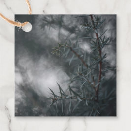 Etiquetas Para Lembrancinhas Foto da natureza Juniper