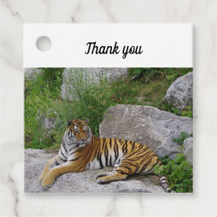 Etiquetas Para Lembrancinhas Foto de um tigre siberiano
