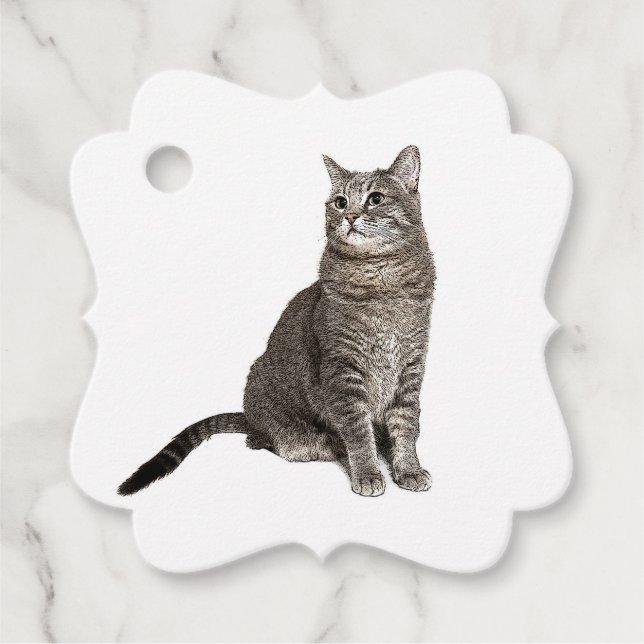 Etiquetas Para Lembrancinhas Gato Abissínio (Frente)
