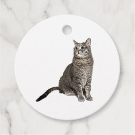 Etiquetas Para Lembrancinhas Gato Abissínio