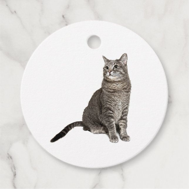 Etiquetas Para Lembrancinhas Gato Abissínio (Frente)