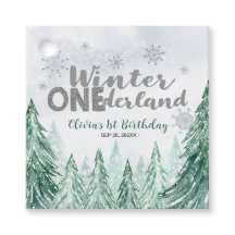 Inverno Onederland Primeiro Aniversário Flocos de 