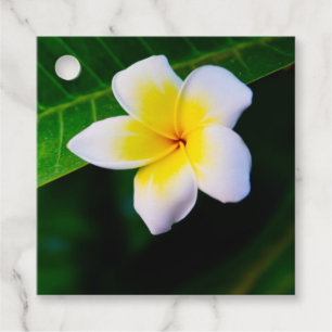Etiquetas Para Lembrancinhas Plumeria Photo Impressão