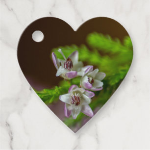 Etiquetas Para Lembrancinhas Primavera de Heather flor verde florescente branco