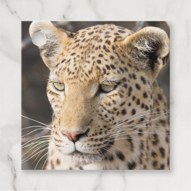 Etiquetas Para Lembrancinhas Retrato de leopardo (Frente)