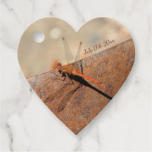 Rico Dragonfly Wedding