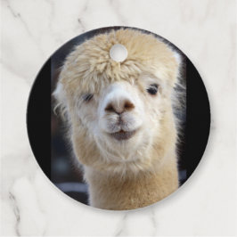 Etiquetas Para Lembrancinhas Rosto de alpaca fofo