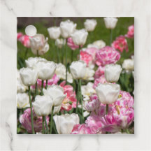 Tulipas brancas e cor-de-rosa brilhantes num dia e