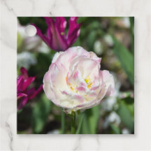 Tulipas cor-de-rosa brilhantes num dia ensolarado