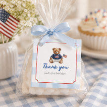 Ursinho Teddy Americano Préppy Azul Xadrez Menino 