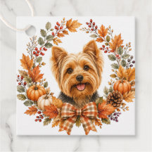 Yorkshire Terrier Outono