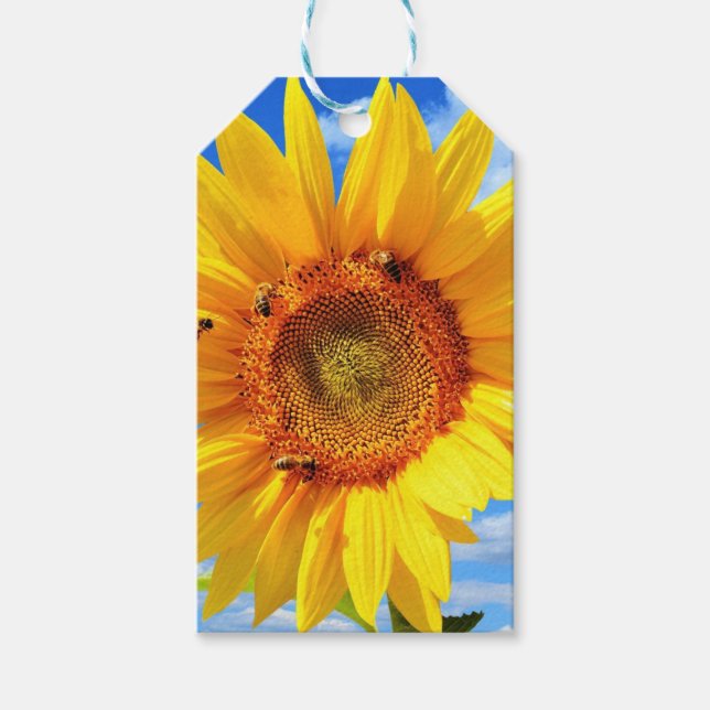 Etiquetas para presentes de girassol amarelo (Frente)