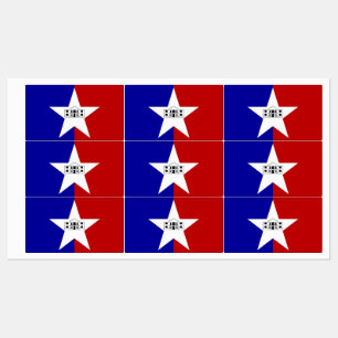Etiquetas patrióticas com a bandeira da cidade de