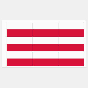 Etiquetas patrióticas com a bandeira do Polônia