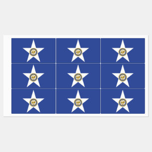 Etiquetas Patrióticas com bandeira de Houston Cit