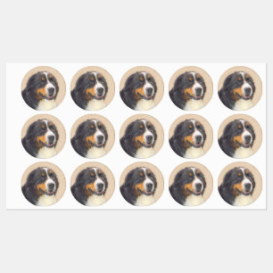 Etiquetas Pintura de Cachorro de Montanha Bernese - Arte Ori