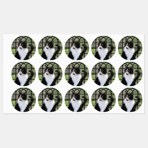 Etiquetas Pintura de Gato Tuxedo - Arte de Gato Original Cus