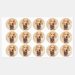 Etiquetas Pintura em Vizsla com Cabelo Frio - Arte Cachorra 