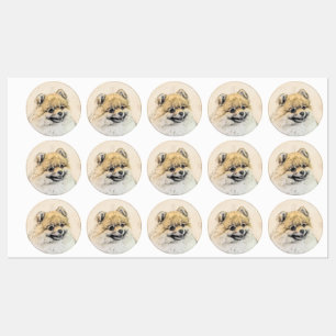 Etiquetas Pintura Pomeraniana (Laranja) - Arte Canina Origin