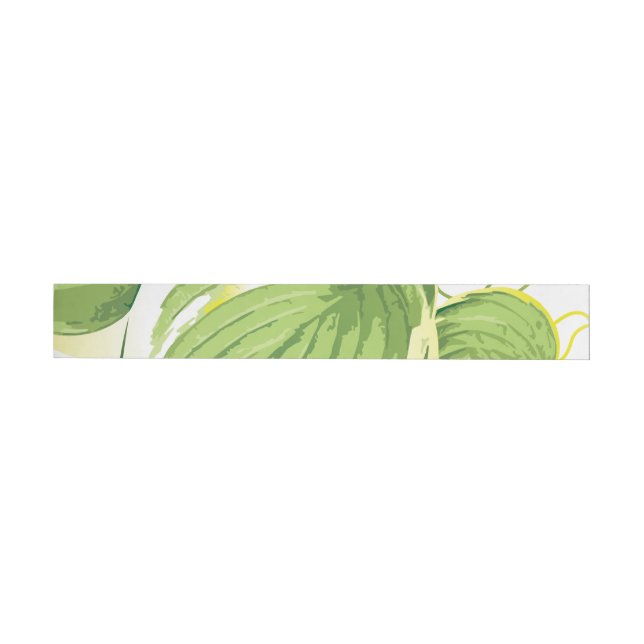 Etiquetas Planta Ficus 2 (Individual)