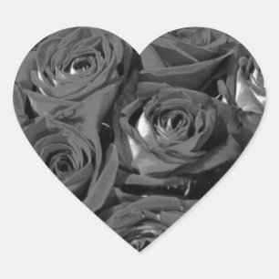 Etiquetas pretas & brancas da foto dos rosas do