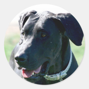 Etiquetas pretas de great dane