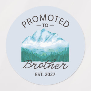 Etiquetas Promovido a Irmão Est 2027 Big Brother VI