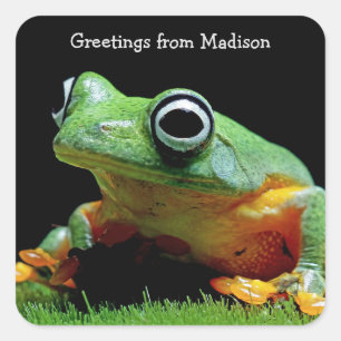 Etiquetas quadradas de Sapo de texto personalizado