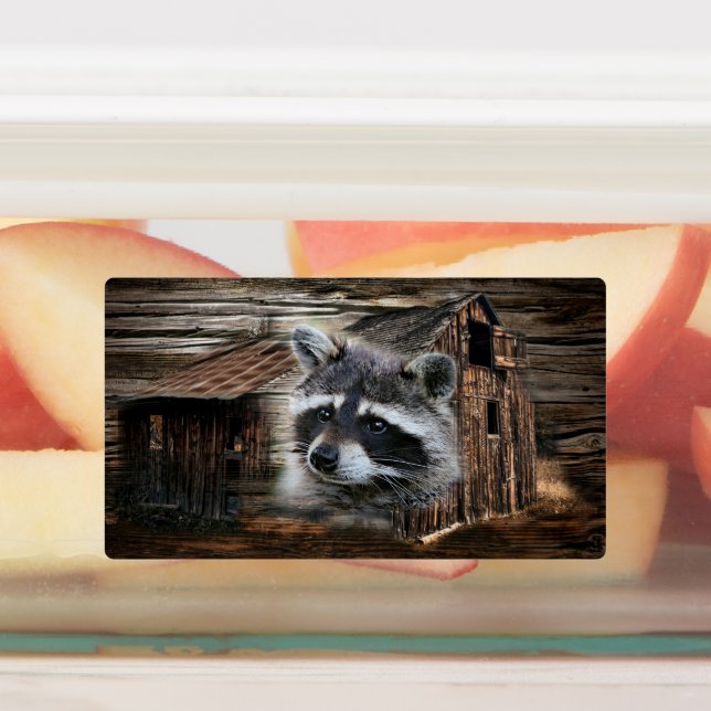 Etiquetas Raccoon No Velho Barn (Afixado)
