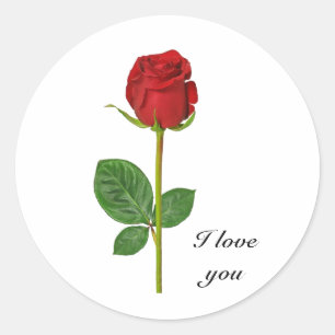 Etiquetas redondas com rosa