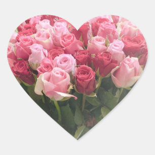 Etiquetas rosas vermelha da forma do coração dos