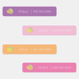 Etiquetas Rótulos de Nome Número da Aula da Escola de Frutas