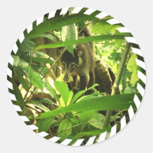 Etiquetas selvagens do Coati