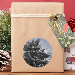 Etiquetas Spruce cobertos de neve do Tag do