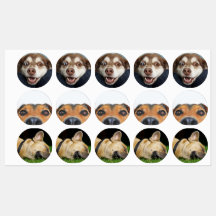 Stickers/etiquetas con imagenes de perritos