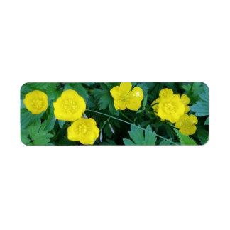 Etiquetas temáticos do botão de ouro