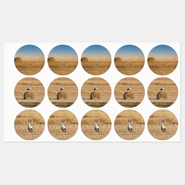 Etiquetas Uma cegonha branca (Folha)