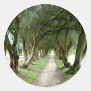 Etiquetas verde-oliva do jardim