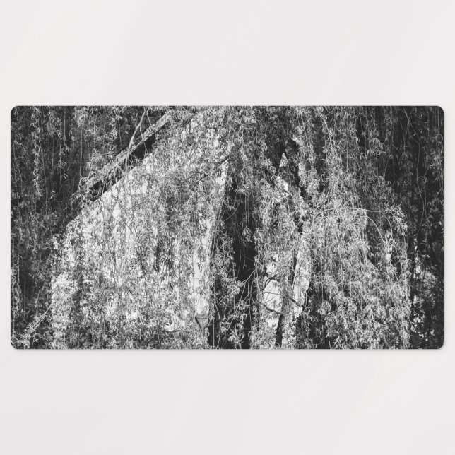 Etiquetas vida útil (Design 1)