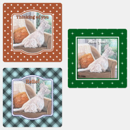 Etiquetas Westin Olhando uma janela