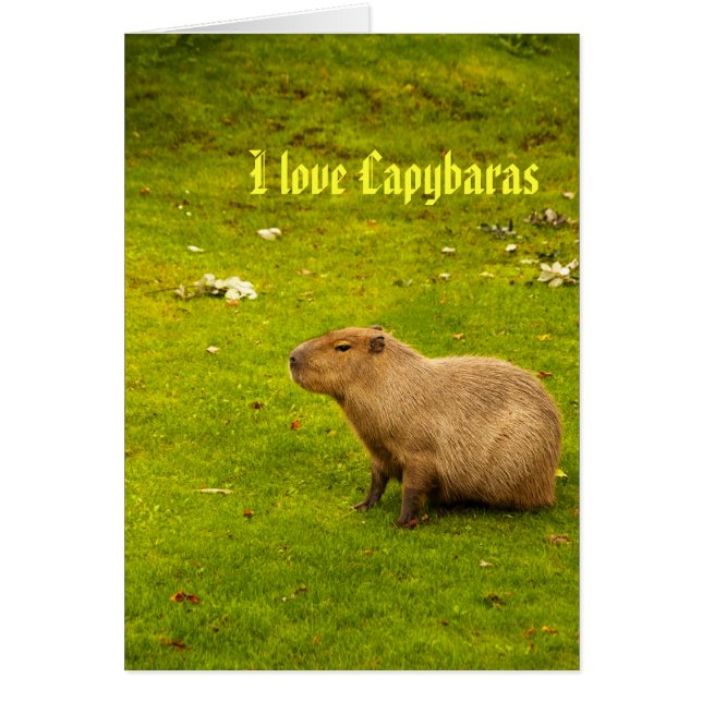 Eu adoro cartão de capybaras (Frente)